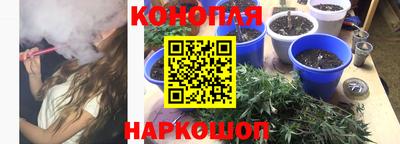 гашик Кулебаки