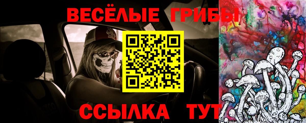 Салават  Галлюциногенные грибы MAGIC MUSHROOMS  Вход с VPN 